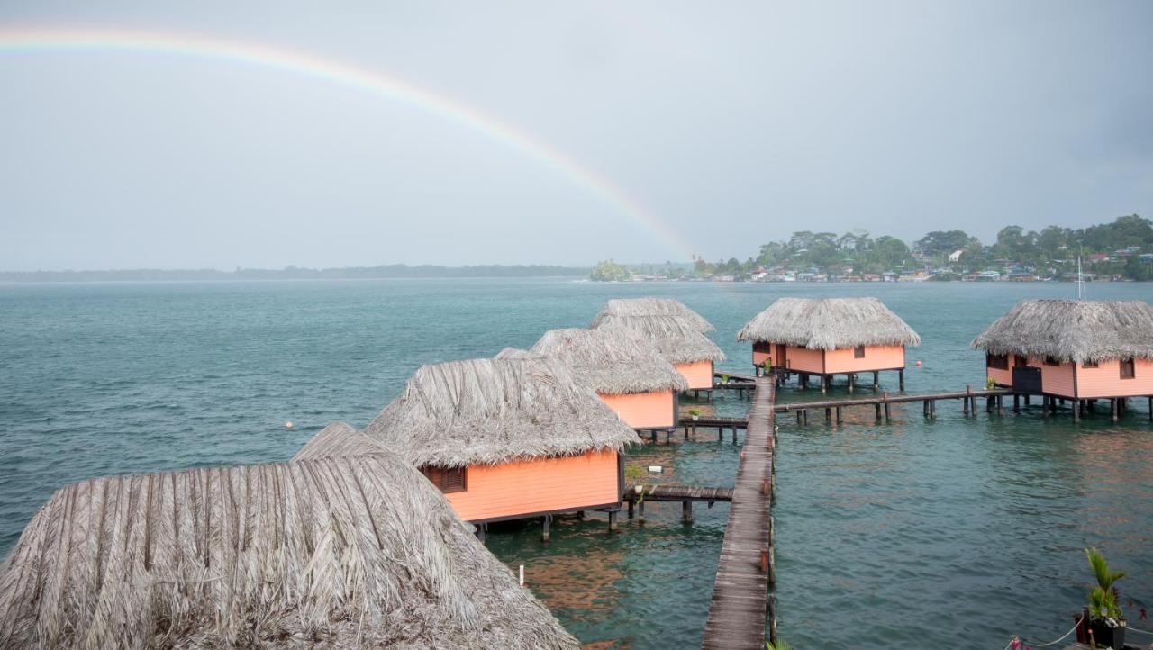 Eclypse De Mar Acqua Lodge Bastimentos Exterior foto